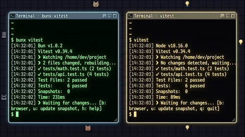 Terminal mostrando el error vitest command not found bajo bun